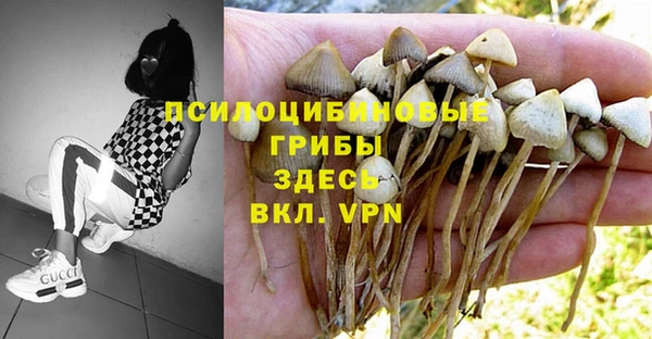 прущие крисы Верхнеуральск